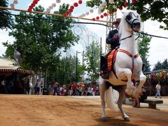 horse at the Granada Fair