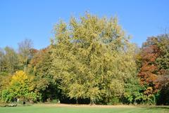 48329 Havixbeck, Germany landscape