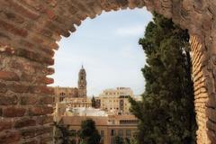 Cathedral of Málaga from La Alcazaba