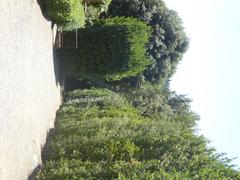 Giardino di Boboli with historic statues and manicured gardens