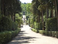 Giardino di Boboli garden pathway in Florence