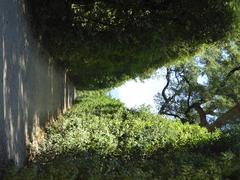 Giardino di Boboli with lush green gardens and a historic statue