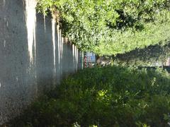 Giardino di Boboli garden landscape