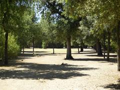 Giardino di Boboli garden landscape