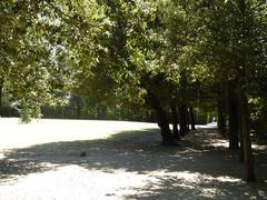 Giardino di Boboli garden with statues and greenery