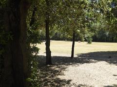 Giardino di Boboli garden