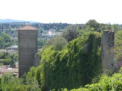 View of the Giardino di Boboli showcasing its lush greenery and classic Italian garden design