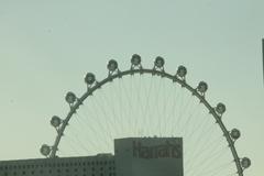 The High Roller ferris wheel in Las Vegas as seen from the highway