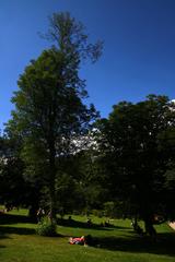 Copenhagen Botanical Garden on a clear day