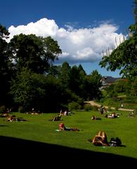 Jardim Botânico De Copenhaga