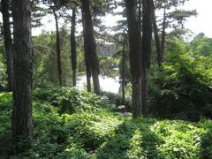 Conifer section of Copenhagen Botanical Gardens