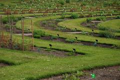 Botanischer Garten lush green landscape