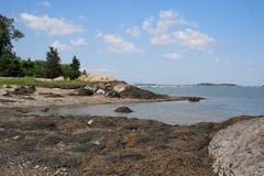 Langlee Island shoreline at low tide with large mats of Ascophyllum in the foreground and boats in the harbor in the background