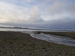 Seawater entering the lagoon on Thompson Island with Boston Harbor in the background