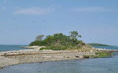 Sheep Island in Boston Harbor