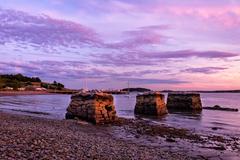 Sunset at Spectacle Island in Boston Harbor with three trees silhouetted against the sky