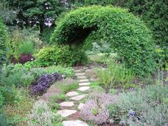 archway covered in green vines with a lush garden path