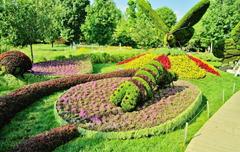 butterfly topiary mosaiculture