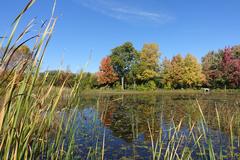 Botanical Garden at Parc Maisonneuve in Montreal