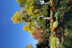 Botanical Garden at Parc Maisonneuve in Montreal