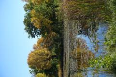 Botanical Garden at Parc Maisonneuve in Montreal