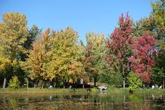 Botanical Garden at Parc Maisonneuve in Montreal