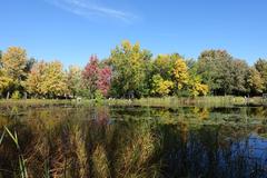 Botanical Garden at Parc Maisonneuve in Montreal