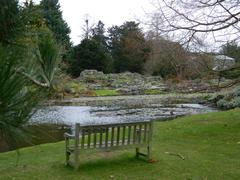 bench with a stream behind