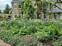 scenic view of Cambridge cityscape with historic buildings and lush greenery