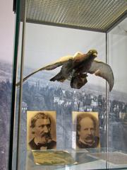 Julius Neubronner's exhibit on pigeons in aerial photography at Kronberg Stadtmuseum