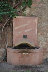 Fountain in Front of Goethe House