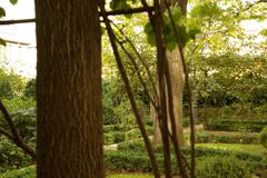 Jardin del Principe de Anglona in Madrid