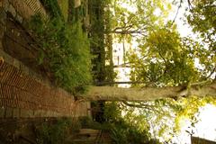 Jardin del Principe de Anglona in Madrid