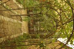 MADRID A.V.U. Jardin Principe de Anglona with visitors