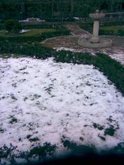 Snow-covered Príncipe de Anglona Garden