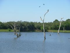 Scenic lake view at Curitiba Zoo