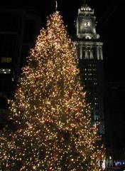 Christmas tree near Quincy Market in Boston, Massachusetts