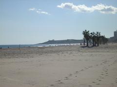 Playa de San Juan beach with Cabo de las Huertas in the background, Alicante, Spain