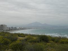 General view of Platja de Sant Joan from Cap de l'Horta in Alicante