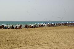 Playa de San Juan Limite Norte in Alicante