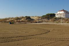 Panoramic view of Playa Carregador beach in Alcocebre