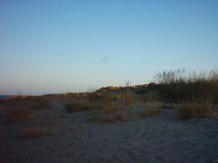 sand dunes near Cargador Beach Alcalá de Chivert