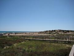 Protected area of Carregador beach with Roquer Martí dunes in the background