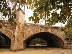 Pont del Real in València viewed from the Turia Gardens