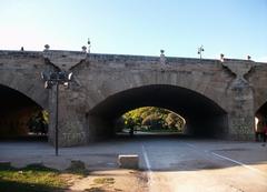 Pont del Real in Valencia