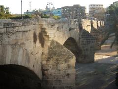 Pont del Real de València