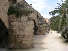 Real Bridge in Valencia, Spain