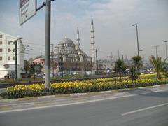 Beautiful tulips in a dusty environment in Eminönü