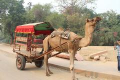 Approach to Taj Mahal, Agra, India