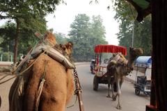 Approach to Taj Mahal in Agra, India